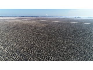 Property photo 7 - LAND AUCTION - 228+/- ACRES OFFERED IN 2 TRACTS IN JASPER COUNTY, INDIANA
